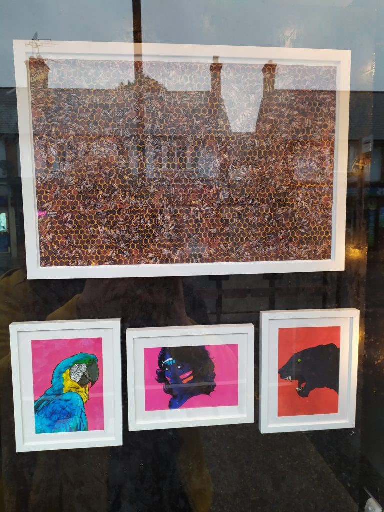 A look at some of the illustrations in the Matthew Brazier Exhibition at the Window Gallery