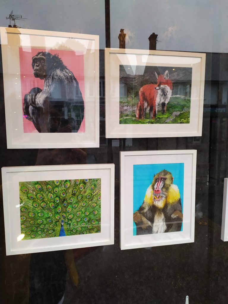 A look at some of the illustrations in the Matthew Brazier Exhibition at the Window Gallery