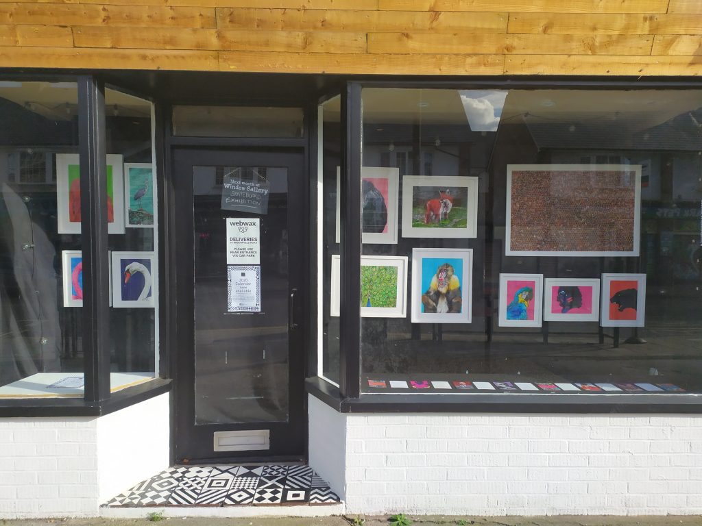 Full view of Matthew Brazier Exhibition at the Window Gallery