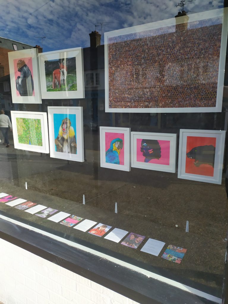 A look at some of the illustrations in the Matthew Brazier Exhibition at the Window Gallery