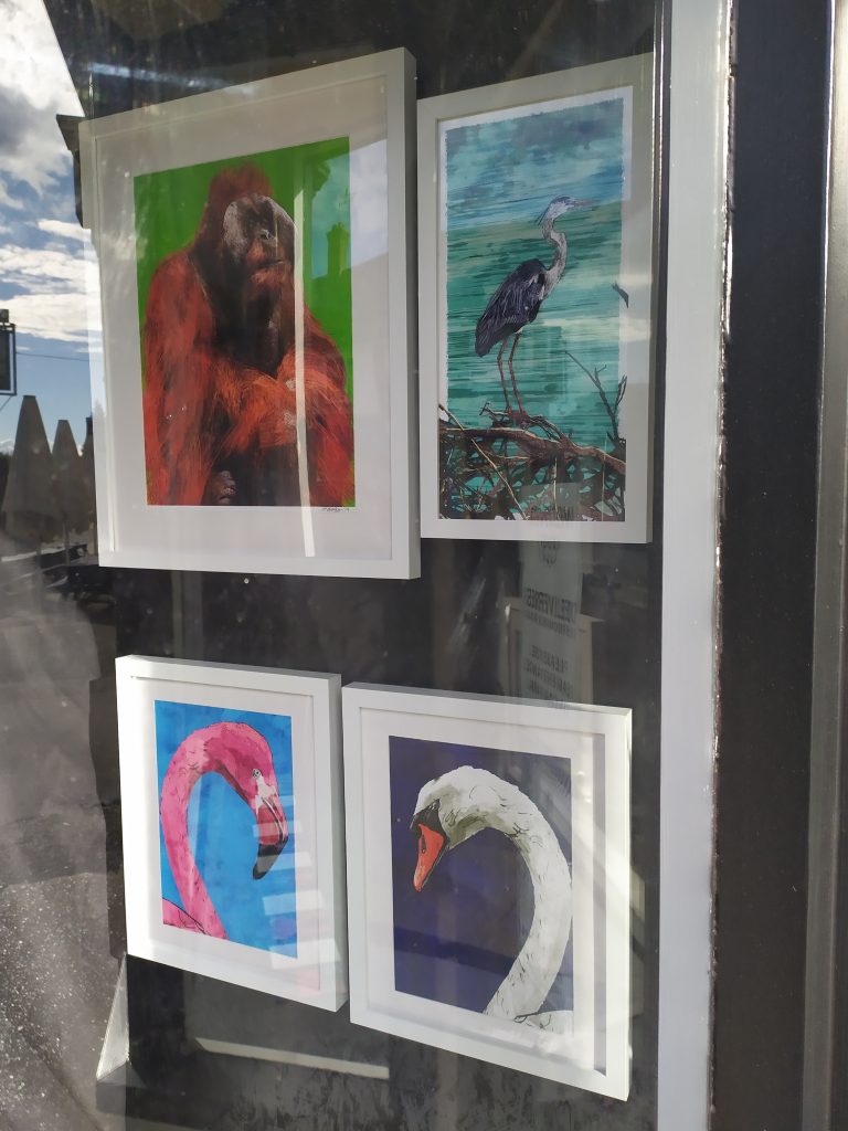 A look at some of the illustrations in the Matthew Brazier Exhibition at the Window Gallery