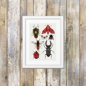 British Insects