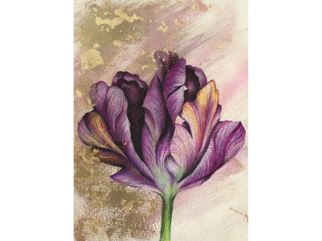 Tulip Drawing 1