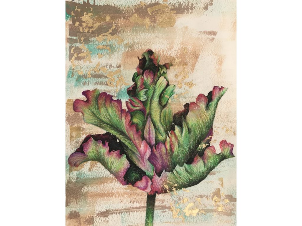 Tulip Drawing 2