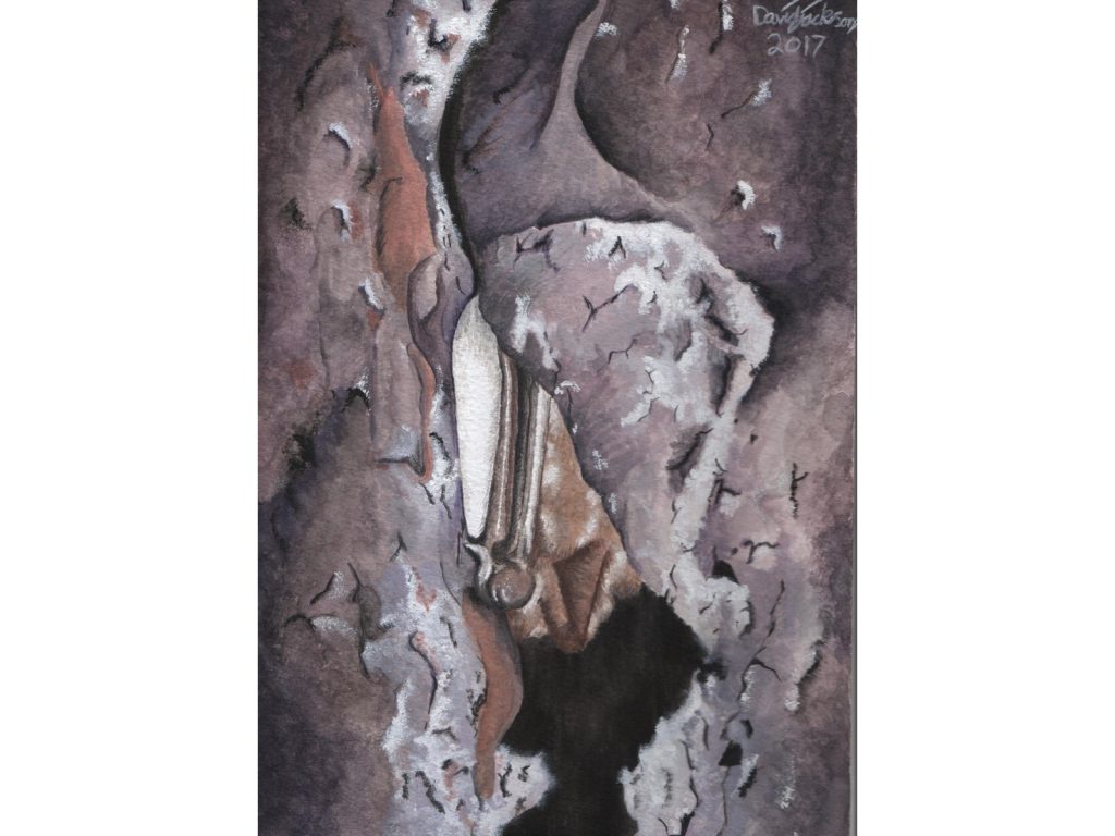 Painting of Myotis Hibernating by David Jackson