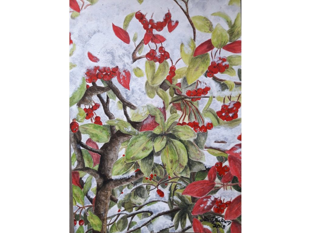 Painting of Winter Berries by David Jackson